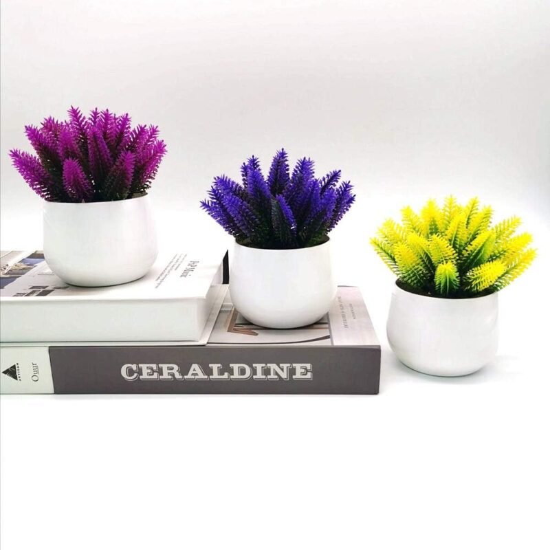 Fycooler Plantas Artificiales en Maceta del Cactus del Topiarios, Suculentas Falsas Decorativas Plantas de Falsos para la Decoración del Banquete de Boda de la Mesa de la Oficina en Casa -4pcs - Imagen 5