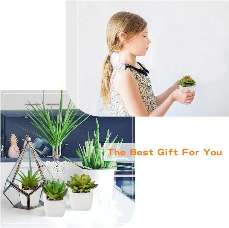 Plantas Suculentas Artificiales 4 Piezas, Plantas Falsas Pequeñas Mini Plantas Suculentas en Macetas, Planta Decorativa de Fuax para el Hogar Casa Mesa Balcón Oficina Interior Decoración Accesorios - Imagen 4