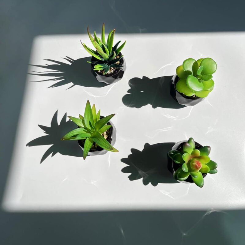 Plantas suculentas artificiales en maceta para interiores, juego de 4 pequeñas plantas falsas en maceta de cerámica negra, hogar, oficina - Imagen 4
