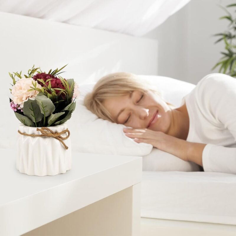 DBREAKS 2PCS Flores Artificiales en Maceta, hortensias Flores Artificiales con jarrón de cerámica, Plantas de Flores Artificiales, Flores de decoración de Mesa para Sala de Estar, Oficina,Rosa Blanco - Imagen 6
