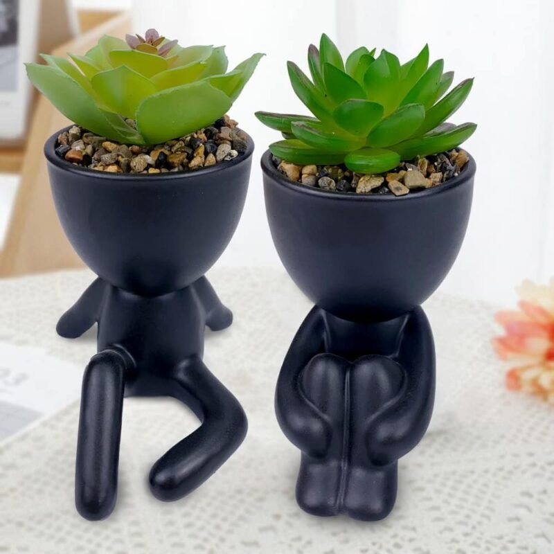 ODIWEN 2Pcs Plantas Suculentas Artificiales, Planta Artificial Decorativa, Pequeñas Plantas Artificiales, Plantas Decoración Suculentas, Mini Plantas Falsas de Plástico, Plantas Artificiales Pequeñas