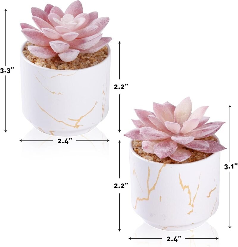 ZENIDA Plantas artificiales y suculentas en 2 macetas de cerámica blanca, pequeñas plantas falsas para decoración de oficina y escritorio, baño, dormitorio, estantes para mujer - Imagen 4