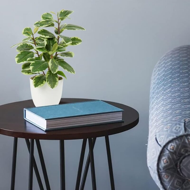 Planta Artificial de Camelia, Planta Falsa en Maceta, Plantas Artificiales de Camelia en Maceta para decoración del hogar, Oficina, Plantas de Mesa, Camelia, bonsái - Imagen 5