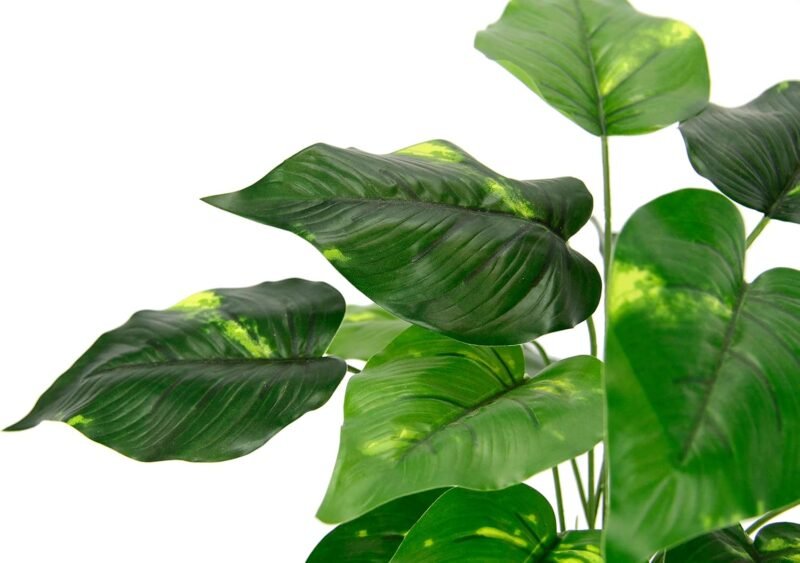 Planta de Hojas Artificiales en Maceta Pothos Planta de Hiedra Photos Planta Arte Flores de Seda Real Touch Dekopflanze Verdes Planta de Seda Planta de Interior Flores Artificiales Decoración de - Imagen 2