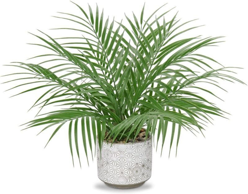 Palmeras Artificiales, Planta Artificial pequeña en Maceta, 40,6 cm / 16 Pulgadas, Plantas Artificiales de Interior como auténticas, para casa, Oficina, Hotel, Oficina, cafetería, decoración Moderna