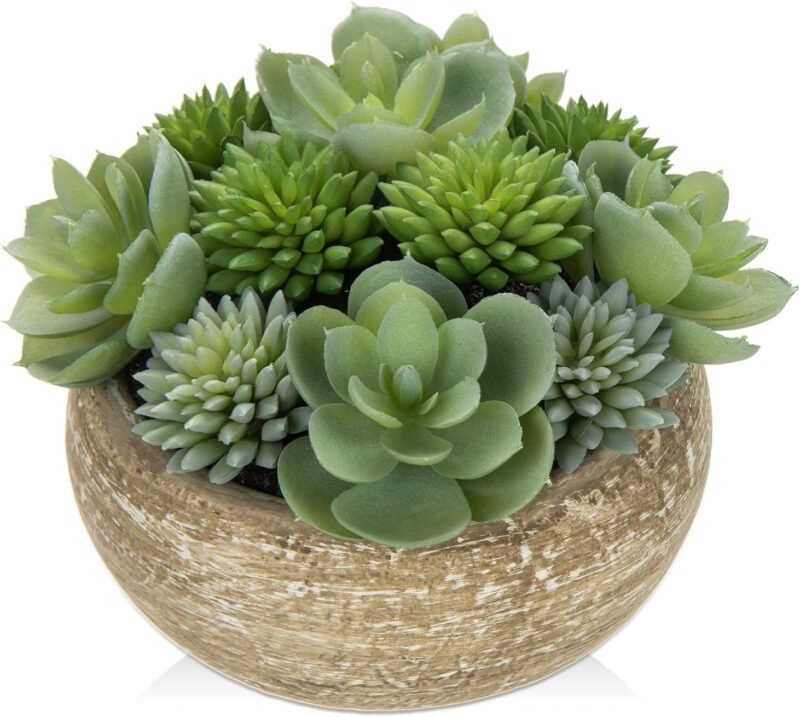 Hollyone Plantas suculentas artificiales de 11 cm en maceta de cemento, pequeñas suculentas falsas para decoración del hogar, planta de imitación decorativa para interiores para sala de estar,