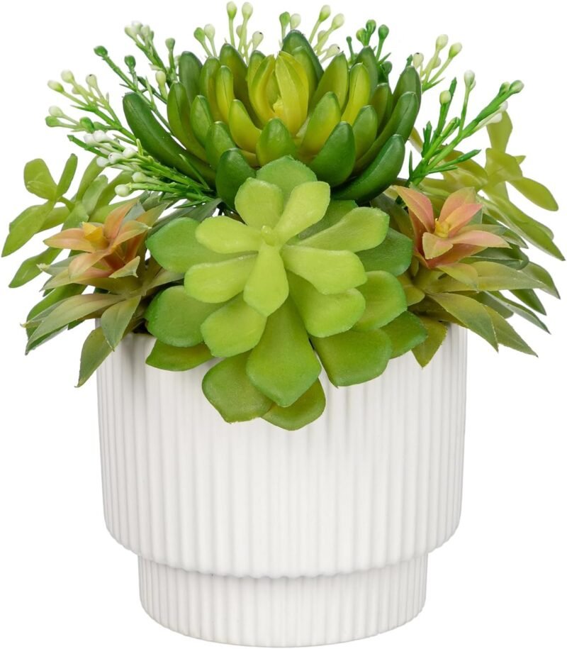 Hollyone Plantas suculentas artificiales en maceta, suculentas falsas surtidas para decoración de interiores, en maceta de cerámica blanca para decoración del hogar, oficina, estante, escritorio, sala