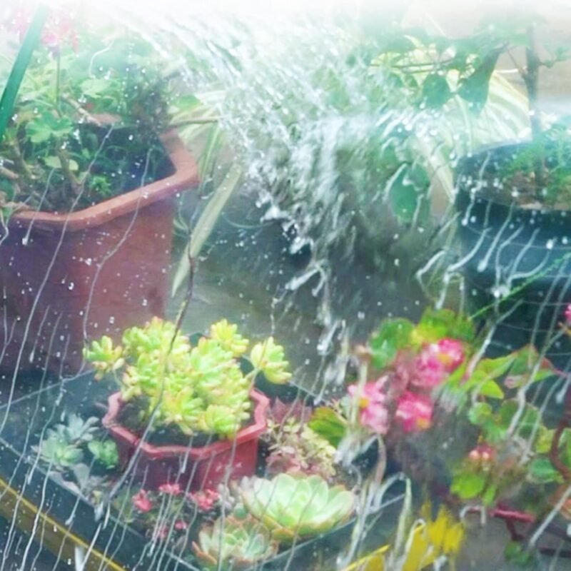 WZYJLyds Lona Impermeable para Paneles Laterales con Ojales Cortina de Cenadores de Jardín de 0,12mm Antidesgarro Mampara de Plástico, Personalizable - Imagen 5