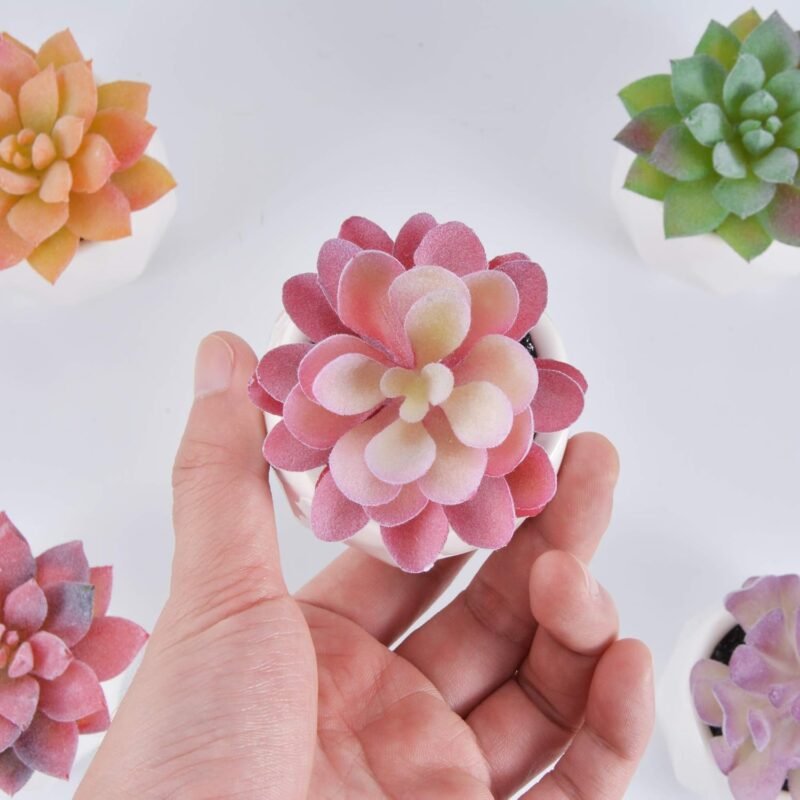 Zalava Plantas Artificiales Decorativas, 4Pcs Plantas Suculentas Pequeñas en Maceta para Hogar, Oficina, Baño, Cocina, Interior y Exterior - Imagen 4