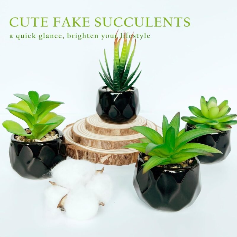 Plantas suculentas artificiales en maceta para interiores, juego de 4 pequeñas plantas falsas en maceta de cerámica negra, hogar, oficina - Imagen 5