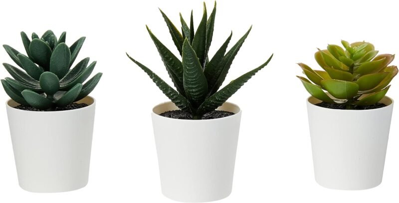 Ikea 203.953.31 FEJKA Juego de Plantas de Escritorio Artificiales en macetas, 6 cm, Paquete de 3 Unidades - Imagen 2