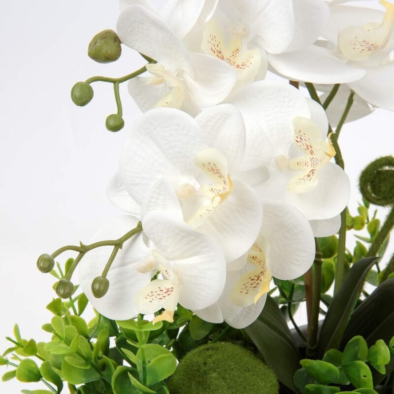 Oairse Phalaenopsis Artificial de 35cm con Flores de Tacto Real, orquídeas de Flores Artificiales en Maceta, centros de Mesa, Decoraciones de alféizar - Imagen 4