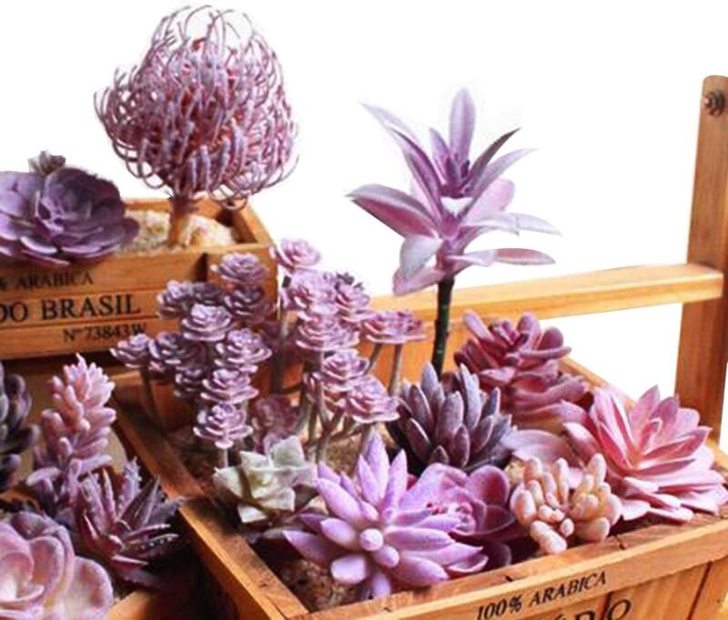 Woohome Suculentas Plantas Artificiales, 15 Pz Morado Suculentas Artificiales Plantas Decorativas Artificiales Surtidas Suculentas para Hogar, Jardín, Interior - Imagen 7