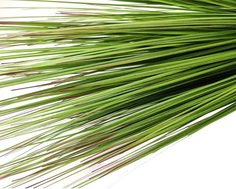 Aisamco 3 Piezas Plantas Artificiales Cebolla Hierba Zonas Verdes Faux Arbustos Falsos Planta Trigo Hierba Hojas Falsas Arbustos 64cm de Altura para el hogar Oficina Boda Jardinería Decoración - Imagen 6
