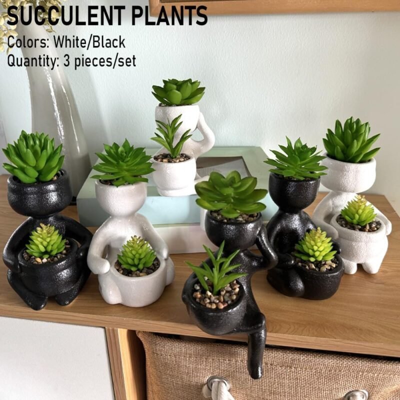 ODIWEN 3Pcs Plantas Suculentas Artificiales, Planta Artificial Decorativa, Pequeñas Plantas Artificiales, Plantas Decoración Suculentas, Mini Plantas Falsas de Plástico, Plantas Artificiales Pequeñas - Imagen 6