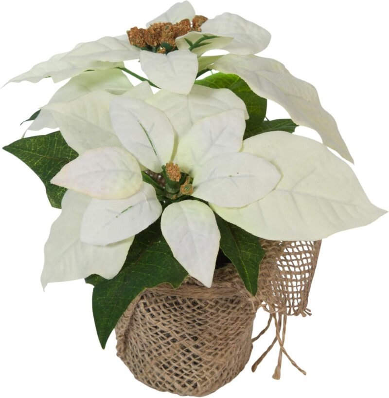 Bambelaa! 3 Piezas Estrella de Flores Navidad Artificiales Flor Pascua Artificial Ramo de Flores Navideñas Artificiales Poinsettia para Fiesta Hogar de Año Nuevo (Blanco) - Imagen 2