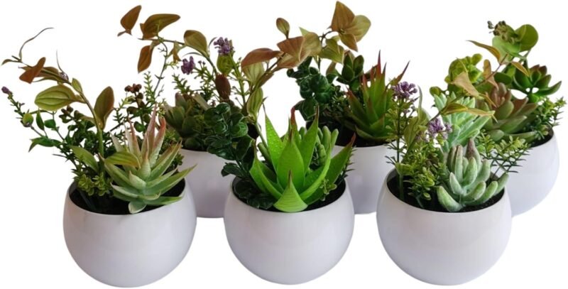 HOMEVID Plantas Artificiales Decorativas en Maceta Plantas pequeñas de plástico sintético para Interiores y Exteriores Pack 6 Unidades para el Hogar Oficina Escritorio Salon baño Cocina Dormitorio