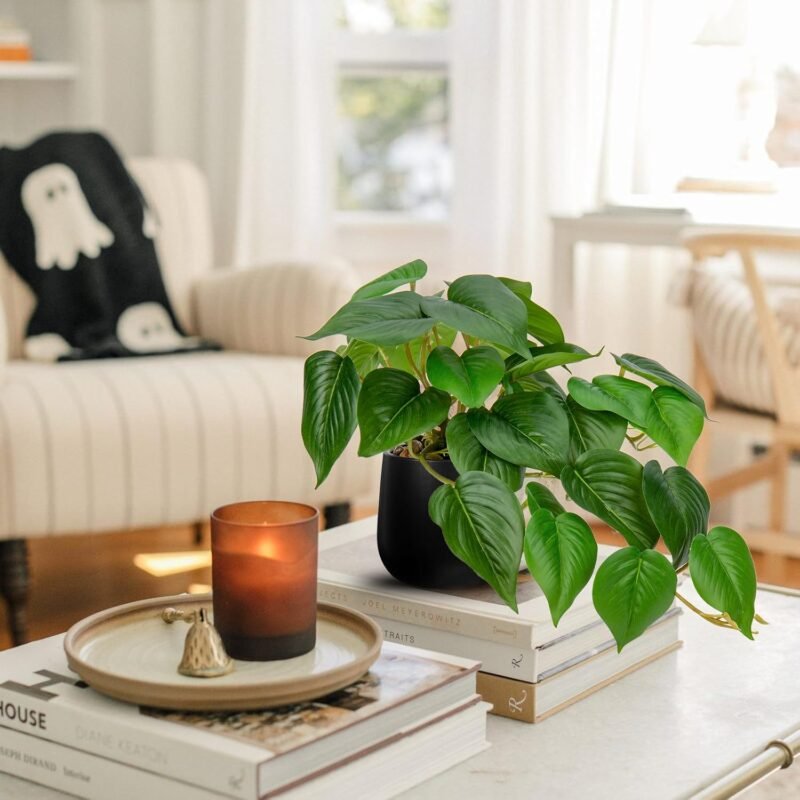 Hollyone Plantas artificiales en maceta de cerámica negra, jade pothos, plantas decorativas artificiales en maceta, plantas artificiales como verdaderas, plantas de interior artificiales con macetas - Imagen 3