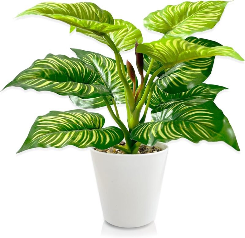 TINA Planta Artificial Decorativa 28 cm Planta Artificial Interior en Maceta Plantas Falsas de Plástico Planta Artificial Decorativa con Maceta Planta Artificial para Hogar (Dieffenbachia)