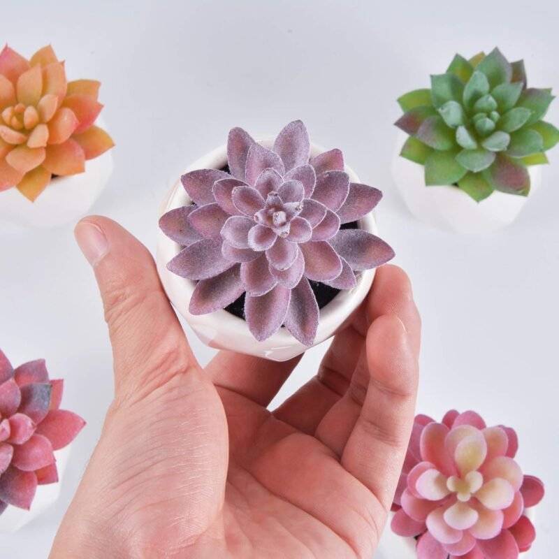Zalava Plantas Artificiales Decorativas, 4Pcs Plantas Suculentas Pequeñas en Maceta para Hogar, Oficina, Baño, Cocina, Interior y Exterior - Imagen 8