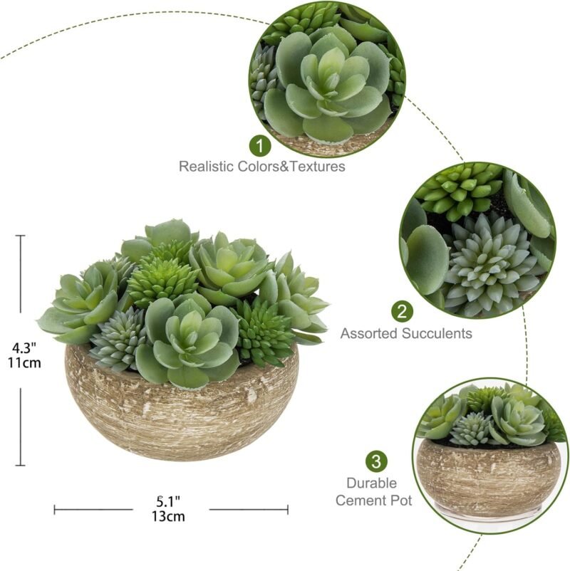 Hollyone Plantas suculentas artificiales de 11 cm en maceta de cemento, pequeñas suculentas falsas para decoración del hogar, planta de imitación decorativa para interiores para sala de estar, - Imagen 2