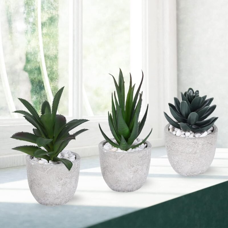 Ulikey 3 Piezas Plantas Suculentas Artificiales con Macetas, Plantas Artificiales Decoracion de Suculentas de Interior y Exterior, Mini Plantas de Escritorio para Cocina, Jardín, Patio, Hogar, Oficina - Imagen 4