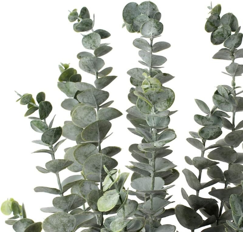 3 PCS (15 Ramas) Plantas de eucalipto artificial, Decoraciones de plantas de eucalipto artificial con 5 cabezas de rama, Flor seca de eucalipto decorativa para decoración del hogar, Altura 87cm - Imagen 6
