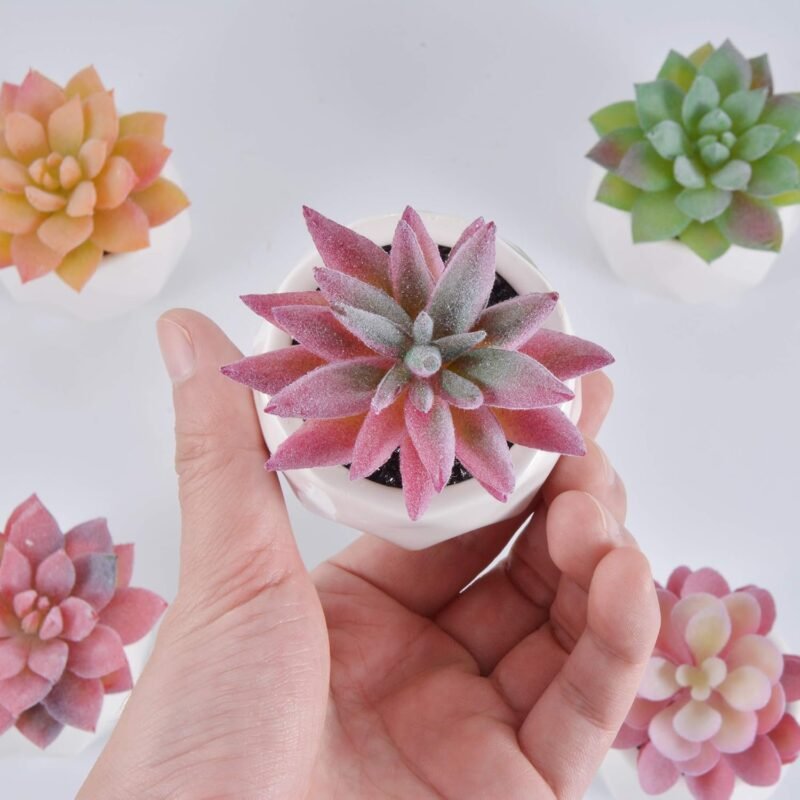 Zalava Plantas Artificiales Decorativas, 4Pcs Plantas Suculentas Pequeñas en Maceta para Hogar, Oficina, Baño, Cocina, Interior y Exterior - Imagen 9