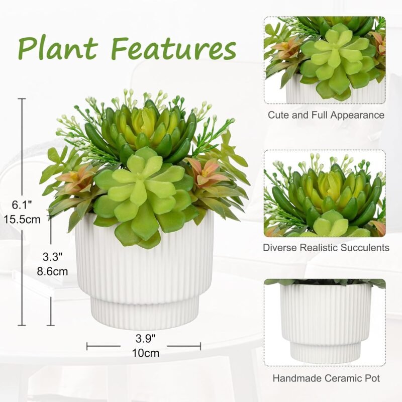 Hollyone Plantas suculentas artificiales en maceta, suculentas falsas surtidas para decoración de interiores, en maceta de cerámica blanca para decoración del hogar, oficina, estante, escritorio, sala - Imagen 2