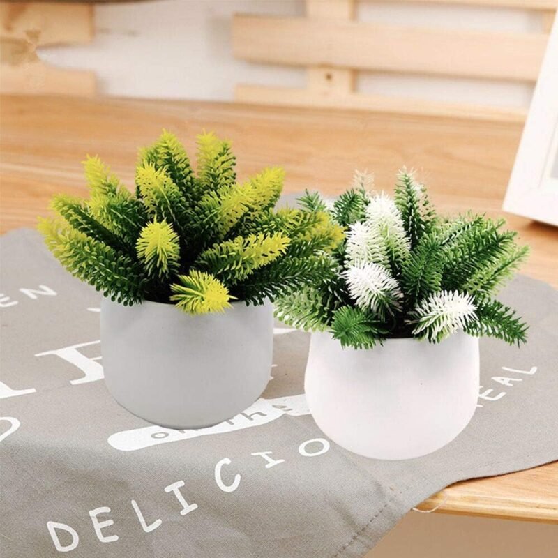 Fycooler Plantas Artificiales en Maceta del Cactus del Topiarios, Suculentas Falsas Decorativas Plantas de Falsos para la Decoración del Banquete de Boda de la Mesa de la Oficina en Casa -4pcs - Imagen 3