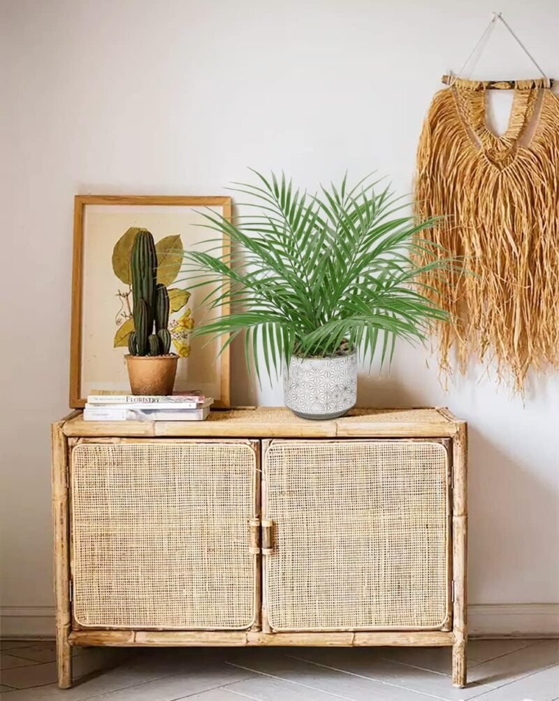 Palmeras Artificiales, Planta Artificial pequeña en Maceta, 40,6 cm / 16 Pulgadas, Plantas Artificiales de Interior como auténticas, para casa, Oficina, Hotel, Oficina, cafetería, decoración Moderna - Imagen 8