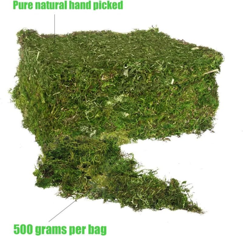 cersaty® Musgo artificial de 500 g, plantas artificiales, simulación de liquen verde para floristería y decoración de manualidades - Imagen 6
