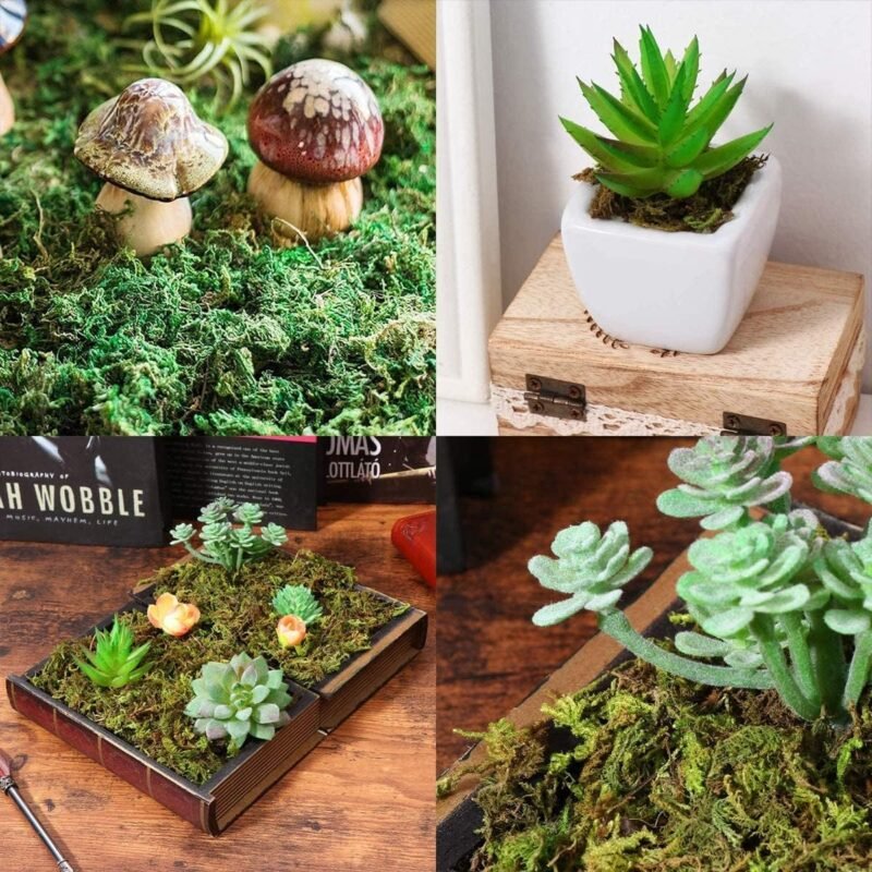 ISDI 4 Paquetes de Simulación Artificial de Musgo,Planta Simulada de Musgo Verde Simulación de liquen Artificial Lichen Verde Falso Musgo para Plantas Patio Jardín Decoración del Hogar - Imagen 2