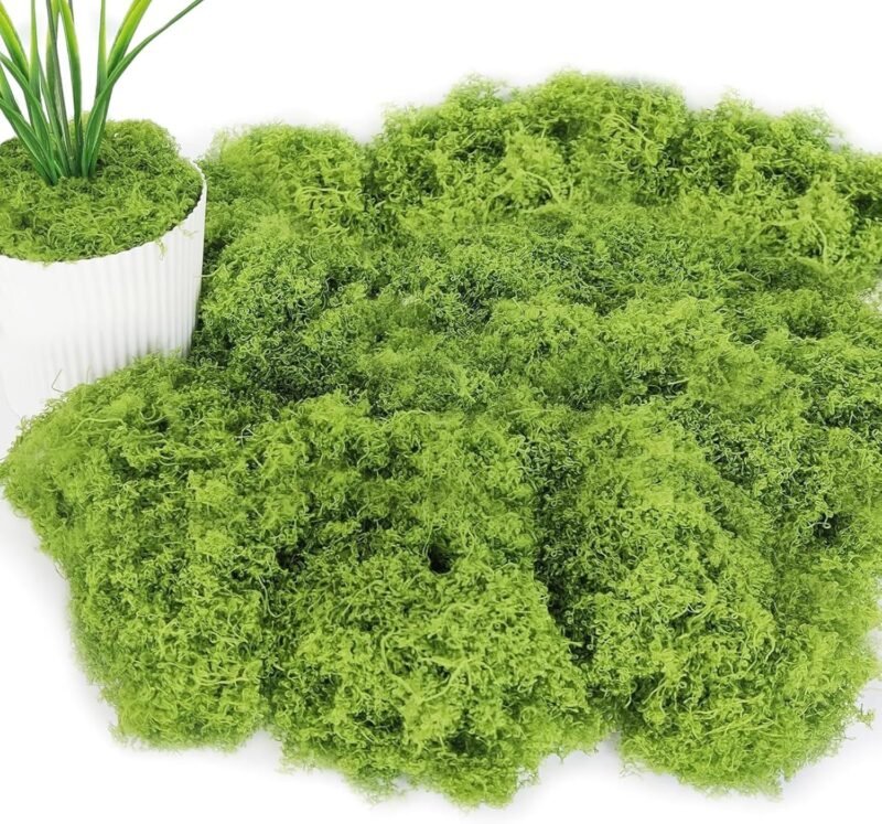 Musgo Artificial Decoracion 100g Musgo Artificial Musgo Natural Preservado Plantas Artificiales Simulación de Musgo Musgo Conservado Decorativo para Musgo，para Manualidades（Verde Claro）