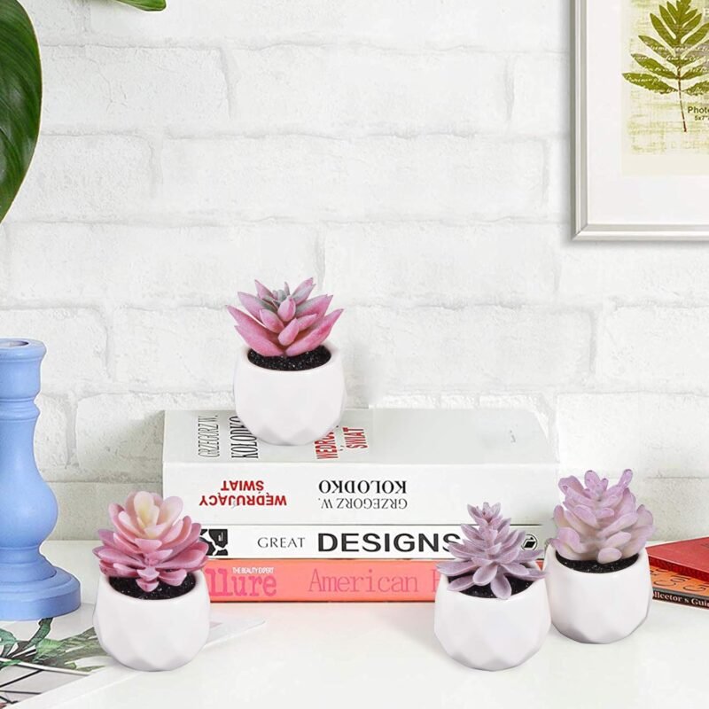 Zalava Plantas Artificiales Decorativas, 4Pcs Plantas Suculentas Pequeñas en Maceta para Hogar, Oficina, Baño, Cocina, Interior y Exterior - Imagen 6
