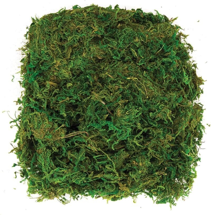 ISDI 4 Paquetes de Simulación Artificial de Musgo,Planta Simulada de Musgo Verde Simulación de liquen Artificial Lichen Verde Falso Musgo para Plantas Patio Jardín Decoración del Hogar