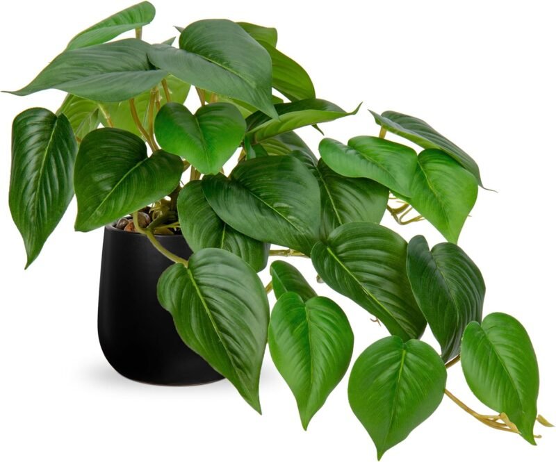 Hollyone Plantas artificiales en maceta de cerámica negra, jade pothos, plantas decorativas artificiales en maceta, plantas artificiales como verdaderas, plantas de interior artificiales con macetas