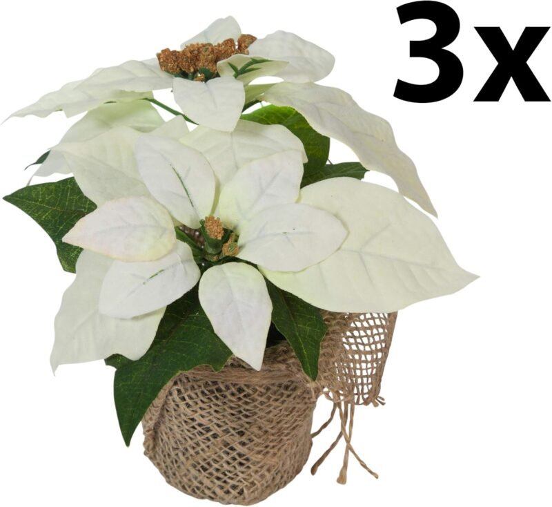 Bambelaa! 3 Piezas Estrella de Flores Navidad Artificiales Flor Pascua Artificial Ramo de Flores Navideñas Artificiales Poinsettia para Fiesta Hogar de Año Nuevo (Blanco) - Imagen 3