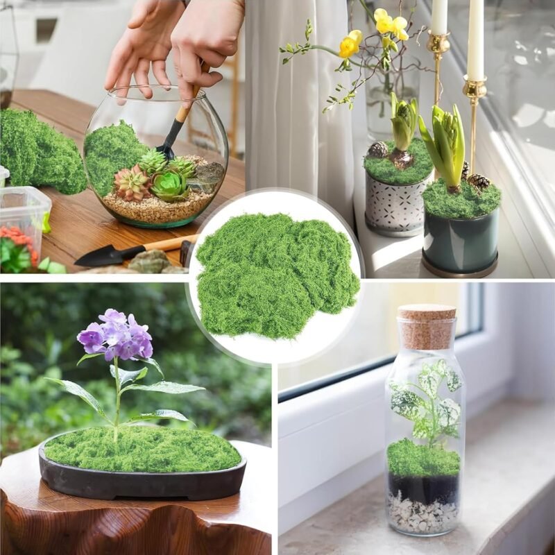Musgo Artificial Decoracion 100g Musgo Artificial Musgo Natural Preservado Plantas Artificiales Simulación de Musgo Musgo Conservado Decorativo para Musgo，para Manualidades（Verde Claro） - Imagen 6