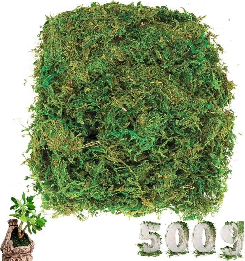 cersaty® Musgo artificial de 500 g, plantas artificiales, simulación de liquen verde para floristería y decoración de manualidades